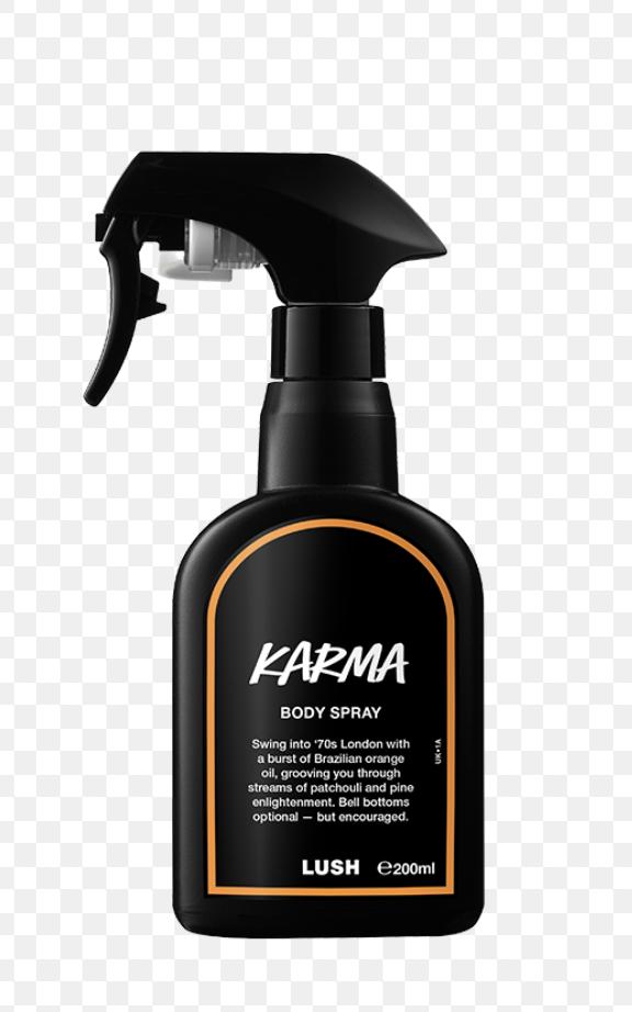 Karma Lush perfume - a new fragrance for women and men 2025