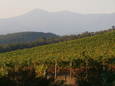 Fragrantica image 2