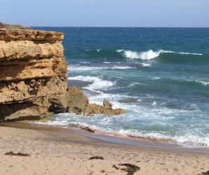 Fragrantica image 2