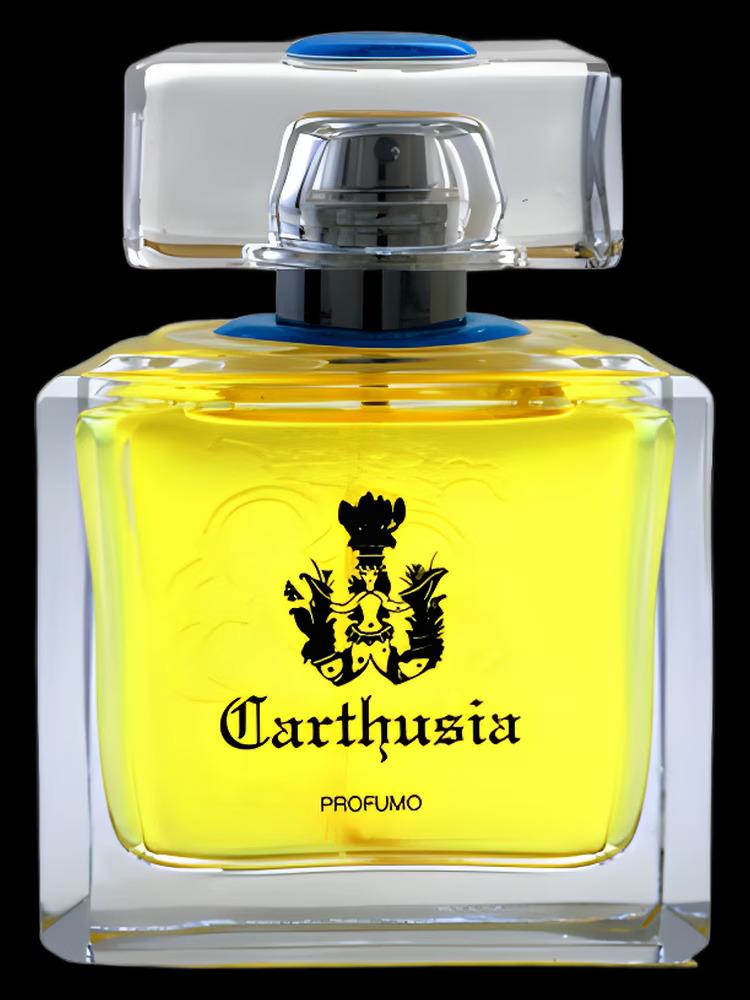 Aria di Capri Profumo Carthusia perfume - a fragrance for women 2003
