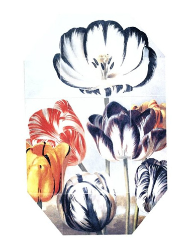 Fragrantica image 2