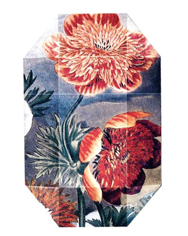 Fragrantica image 2