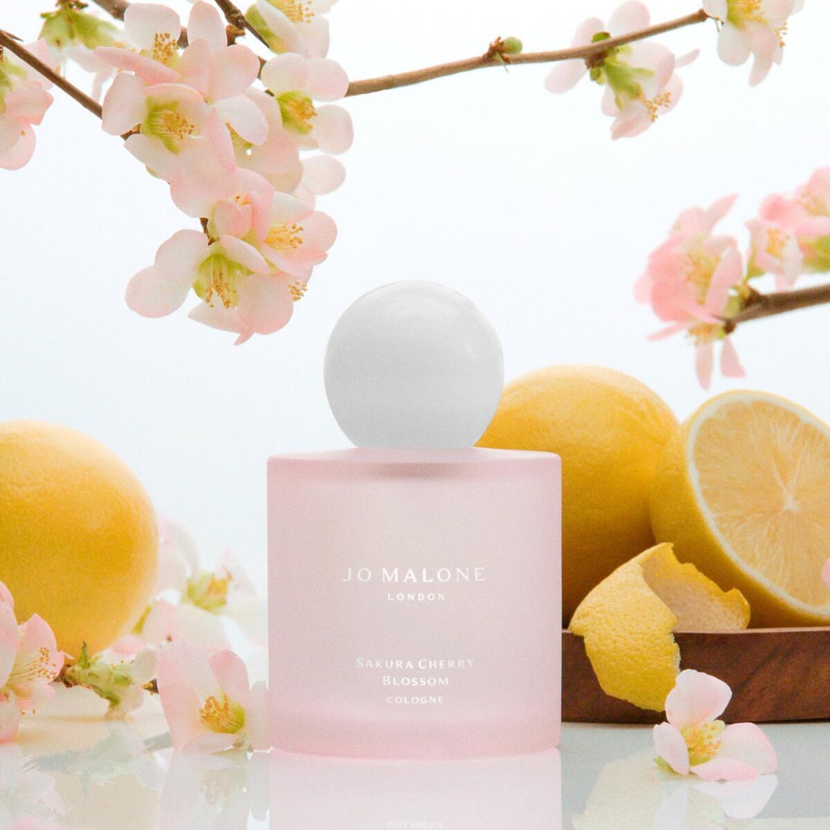 Sakura Cherry Blossom Jo Malone London perfume - a novo fragrância