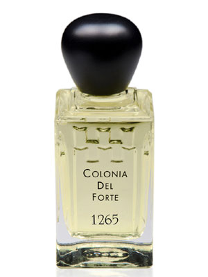 Fragrantica image 2