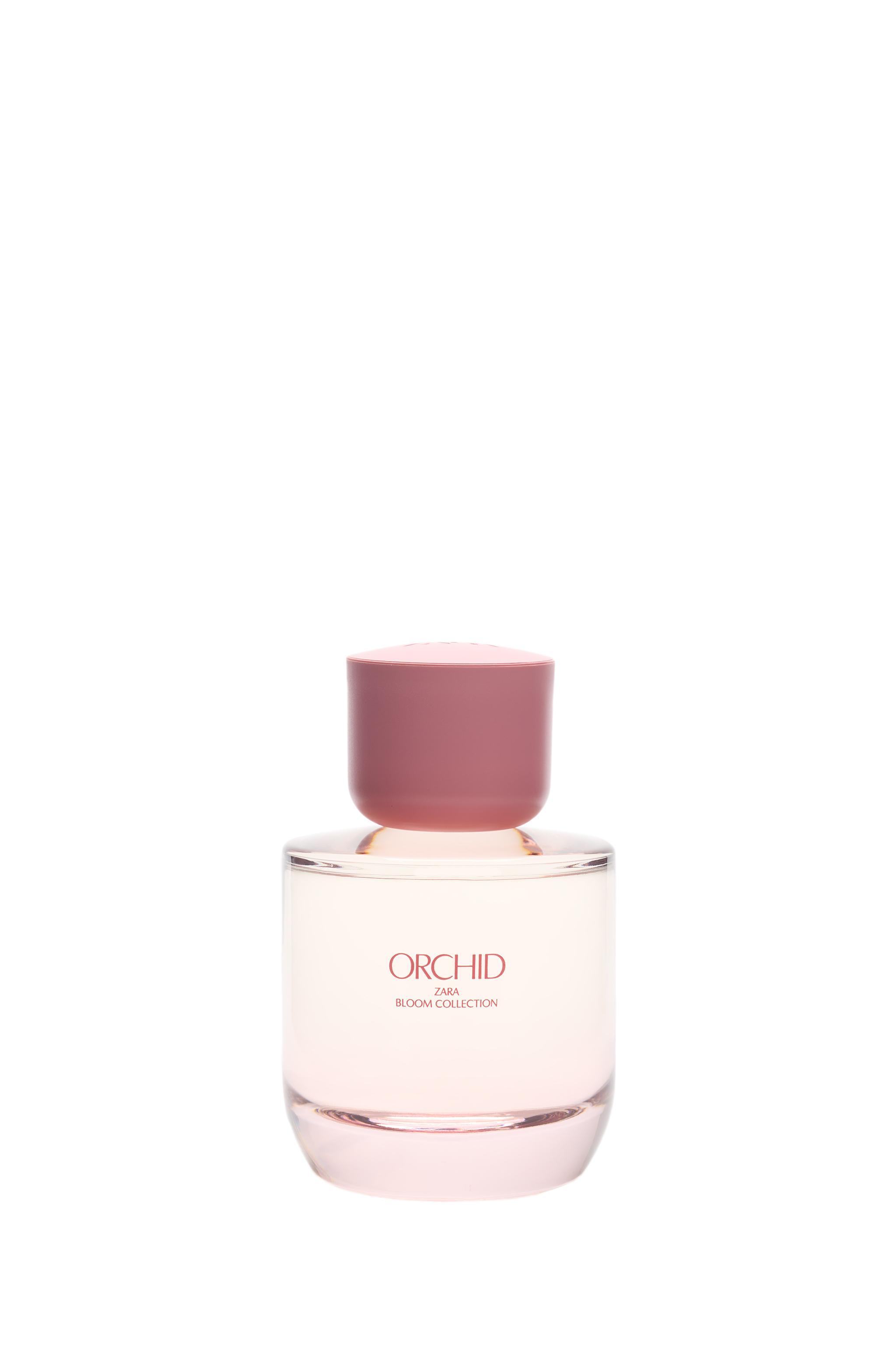 Orchid Zara 香水 - 2025年のユニセックス 新着フレグランス