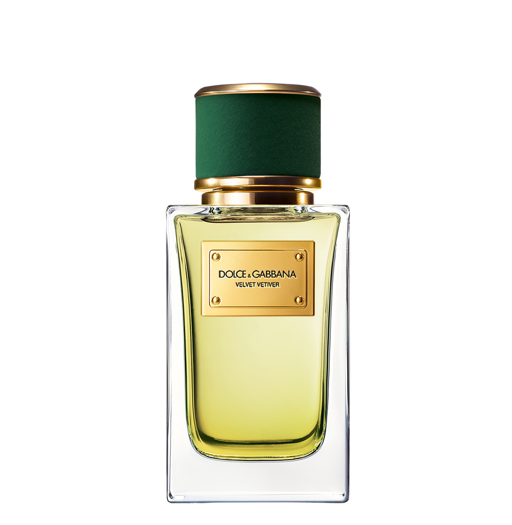 【貴重‼️限定価格】Dolce & Gabbana Velvet ジネストラ Velvet Collection | Dolce&Gabbana