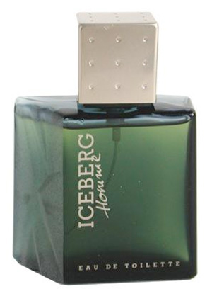 Iceberg Homme Iceberg Colônia - a fragrância Masculino 1991
