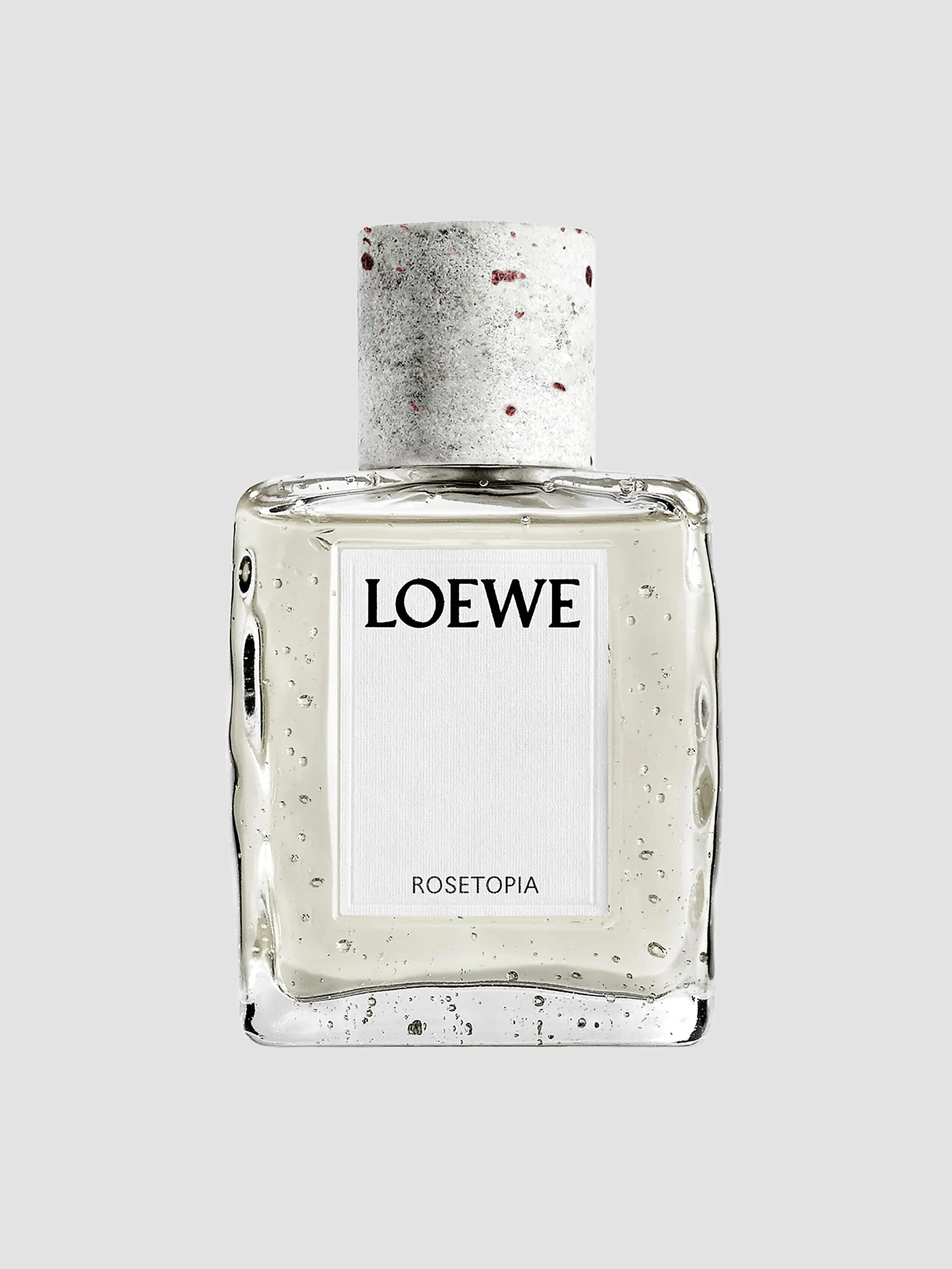 Rosetopia Loewe perfume - a new fragrance for women and men 2026