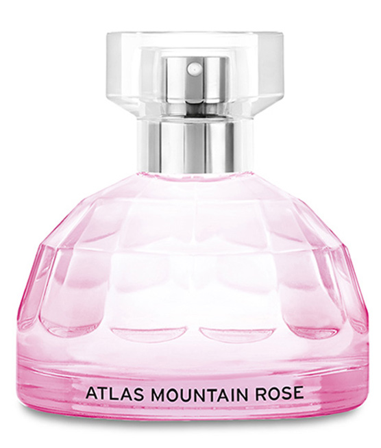 Atlas Mountain Rose The Body Shop perfume a fragrance for women 2012