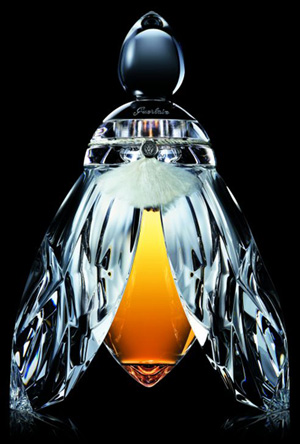 Bottle image 2
