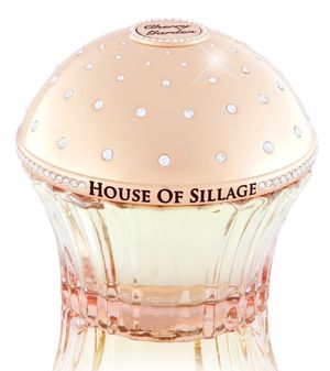 Bottle image