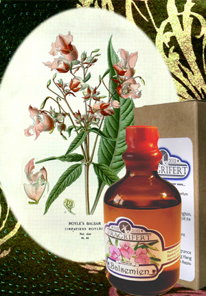 Bottle image 2