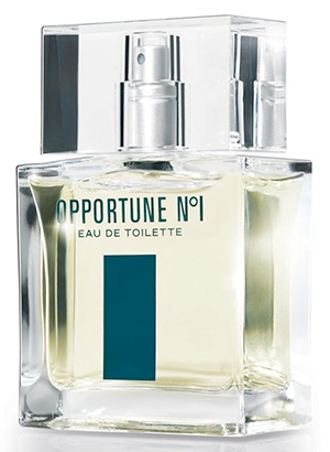 香水(男性用) Amway AKHBAR Eau de Toilette 100ml Opportune No1 Amway cologne - a fragrance for men