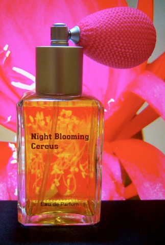 洋楽 FRAGRANCE - ALWAYS / WHEN THE NIGHT A Dark Stormy Night The Dua Brand perfume - a new fragrance for