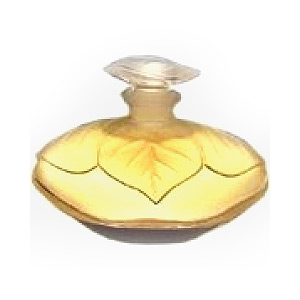 Fragrantica image 2
