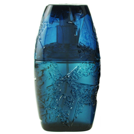 ギラロッシュ ホライズン 100ml Guy Laroche ギ ラロッシュ GUY LAROCHE ホライズン 100ml EDT