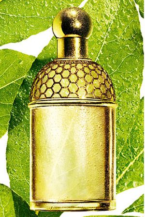 Bottle image