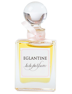 Fragrantica image 2