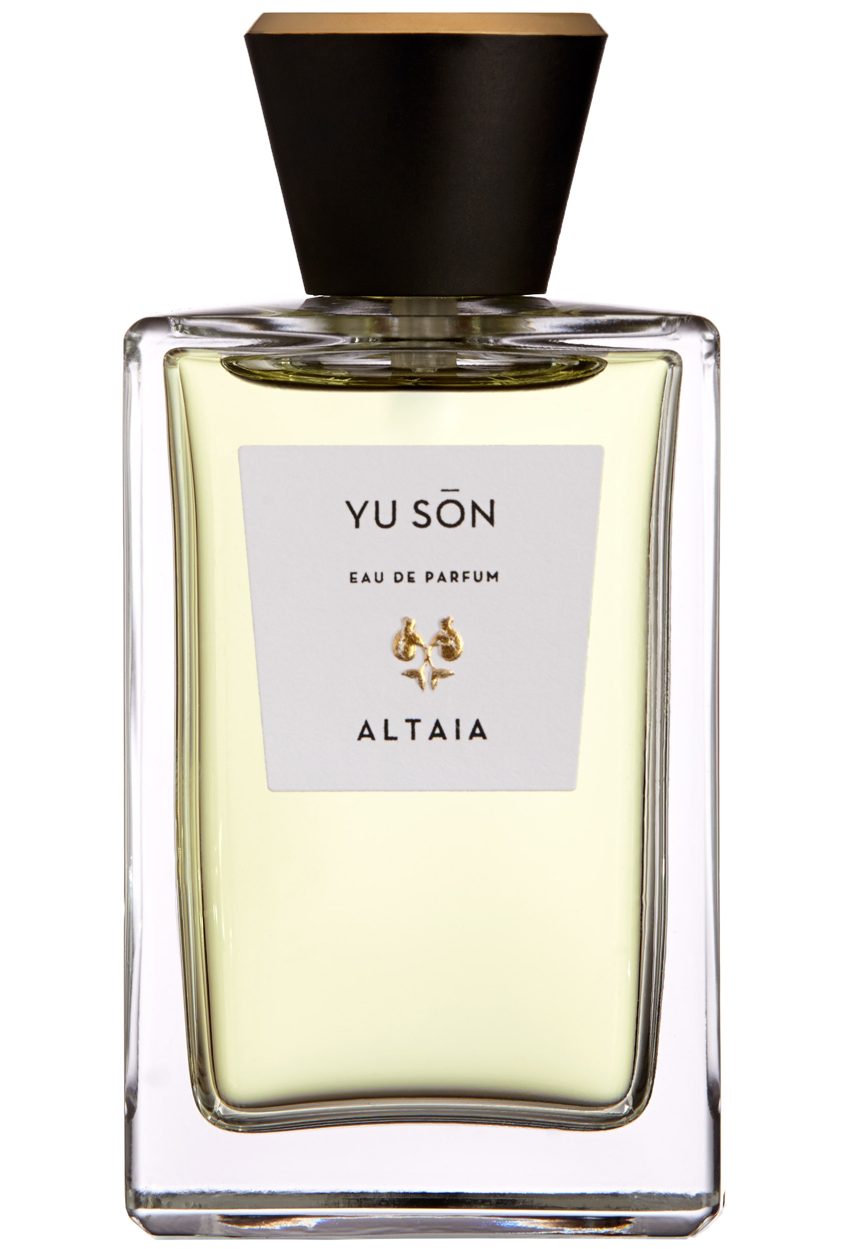 激レア！ アルタイア ALTAIA ユーソン Yu Son o.32344.jpg
