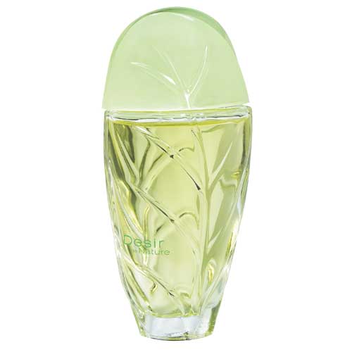 香水(ユニセックス) Nature Yves Rocher 1994 Vintage *** Yves Rocher Nature - Eau de Toilette Splash 100