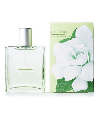 美品mods【THE GARDENIAS・what's the matter.. maxresdefault.jpg