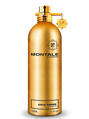 Aoud Ambre Montale perfume a fragrance for women and men 2006