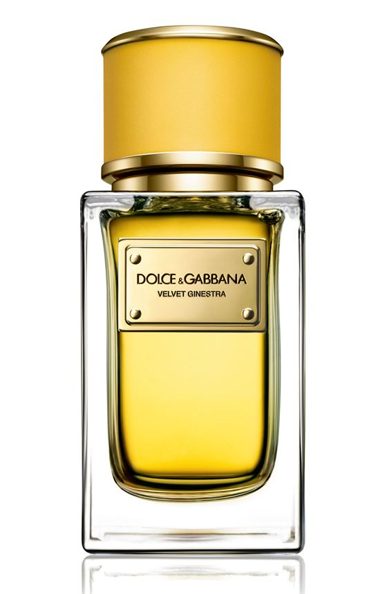 【貴重‼️限定価格】Dolce & Gabbana Velvet ジネストラ 貴重‼️限定価格】Dolce & Gabbana Velvet ジネストラ - メルカリ