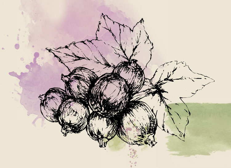 Fragrantica image 2