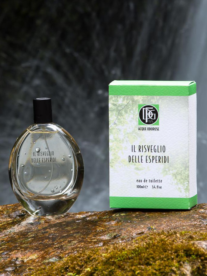 Fragrantica image 2