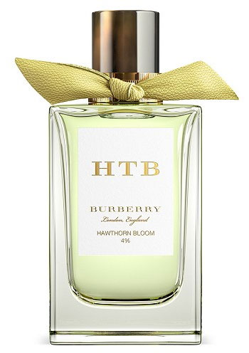 Hawthorn Bloom Burberry perfume - a fragrance for women and