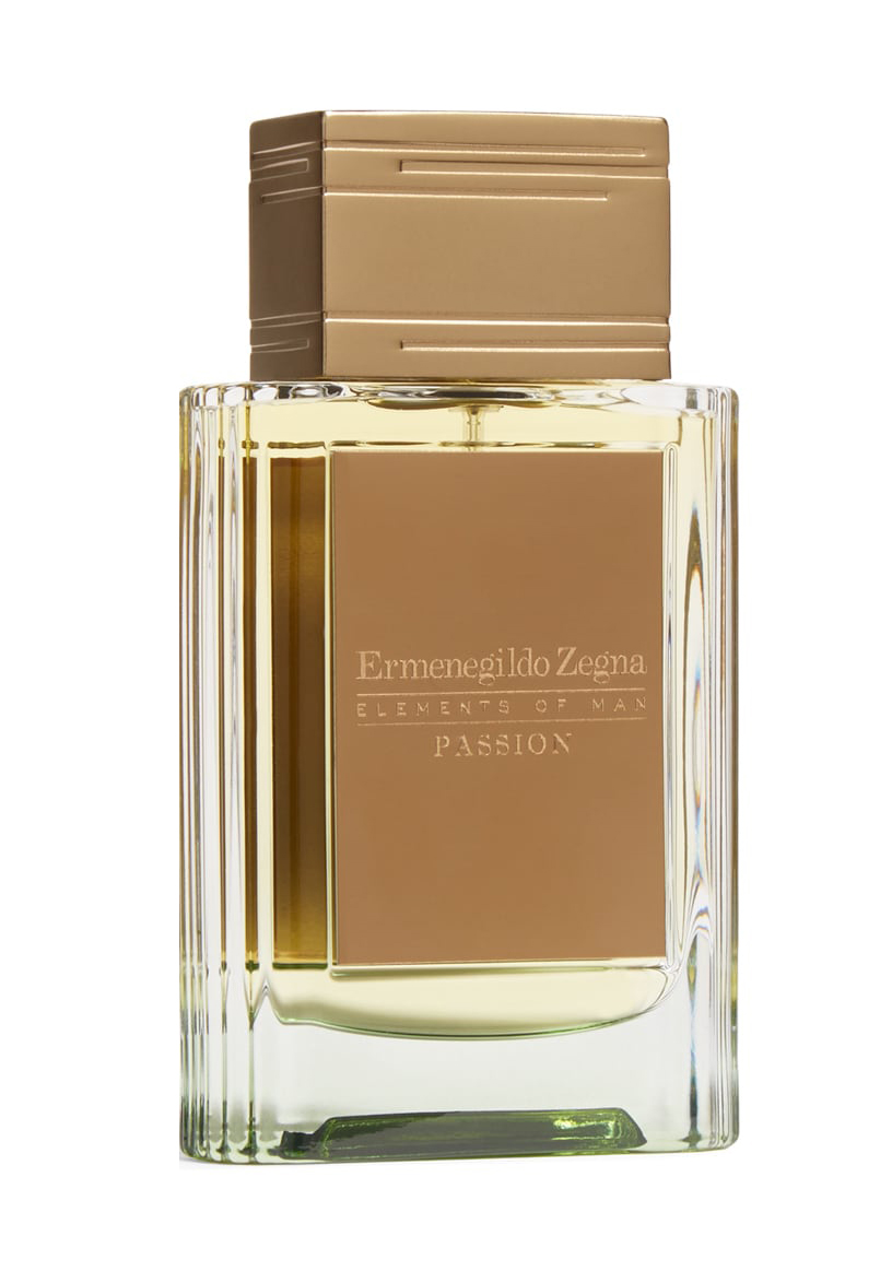 Ermenegildo Zegna エレメンツ オブ マン パッション o.46490.jpg