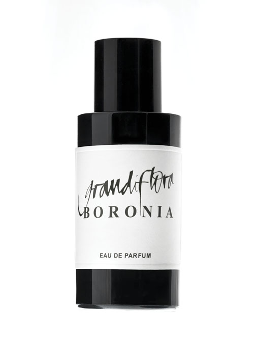 Fragrantica image 2