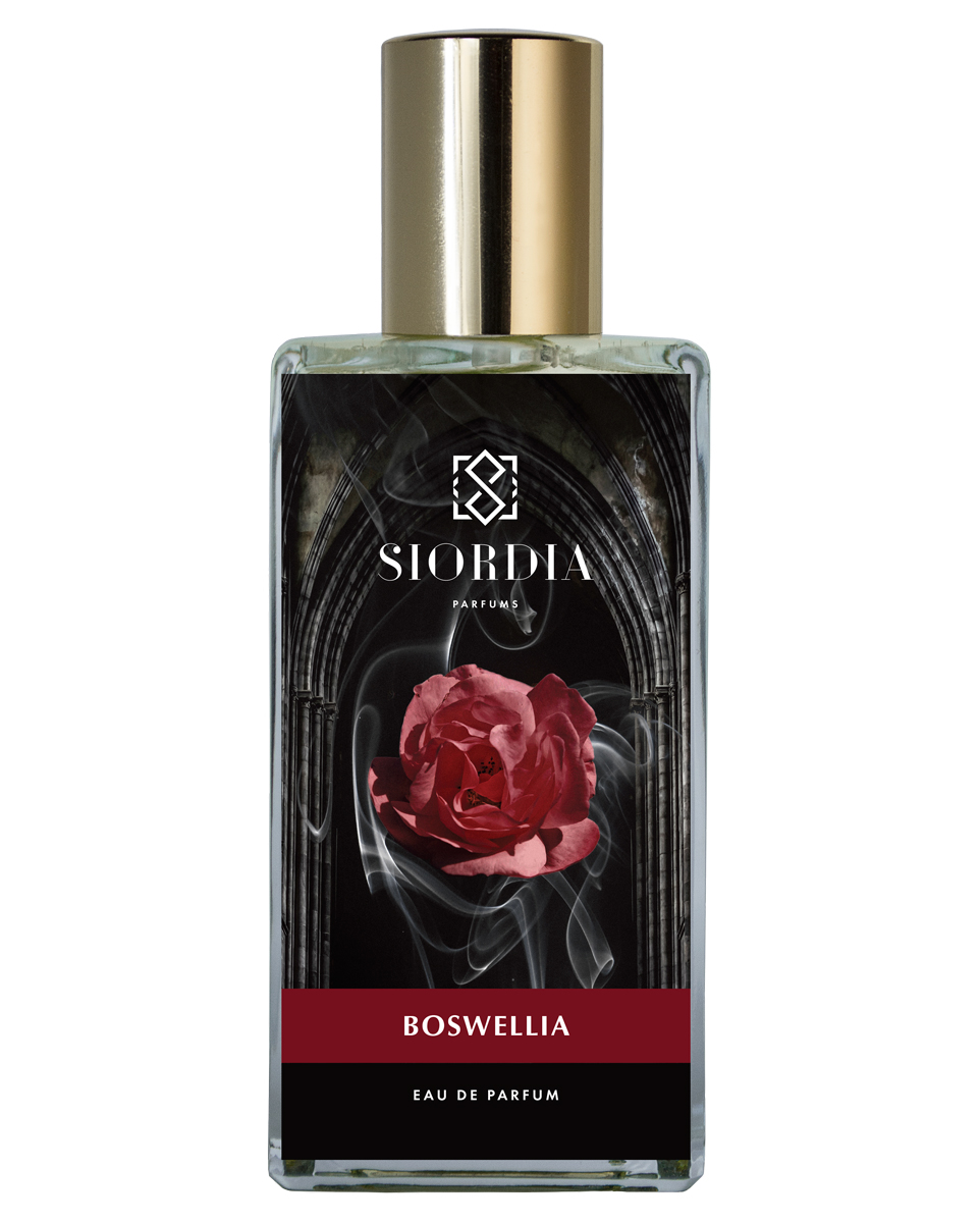 Bottle image 2