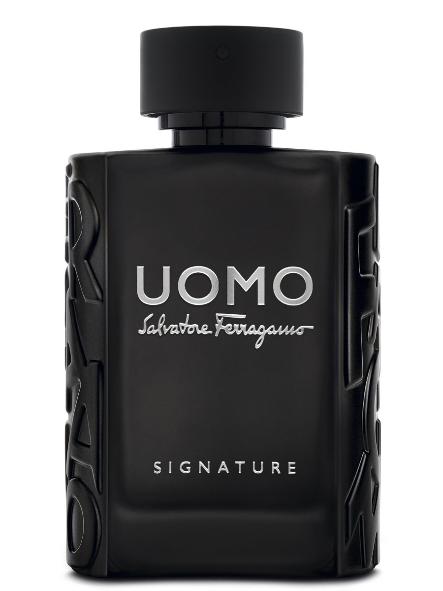 Amazon.com : Salvatore Ferragamo Uomo Casual Life Eau De
