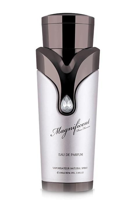 Magnificent Pour Homme Armaf cologne a fragrance for men