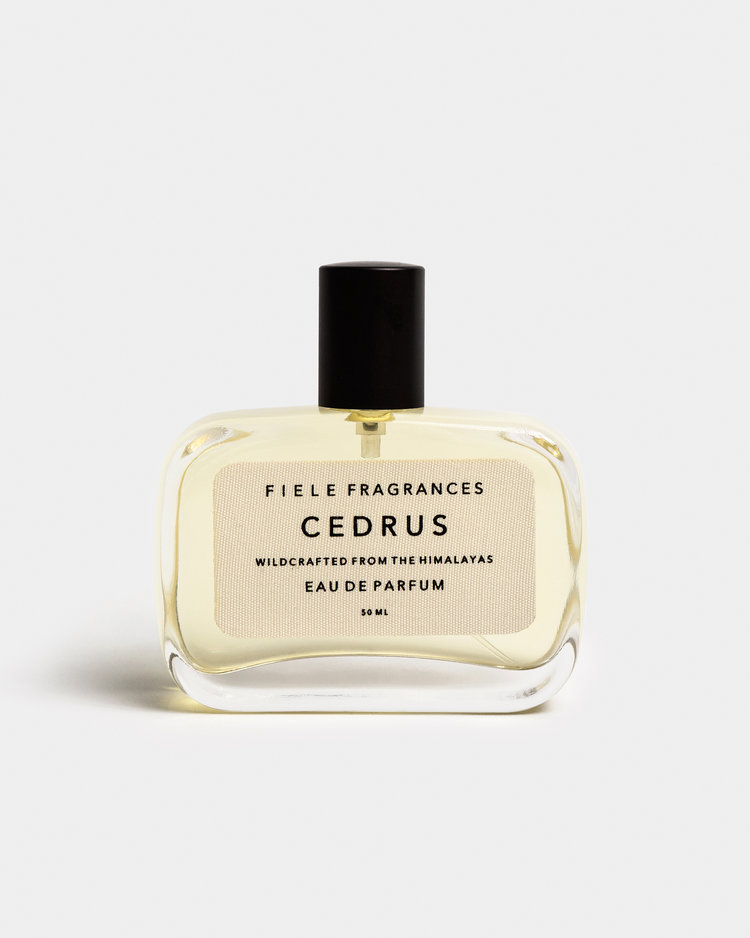 Cedrus Fiele Fragrances perfume - a fragrance for women and men