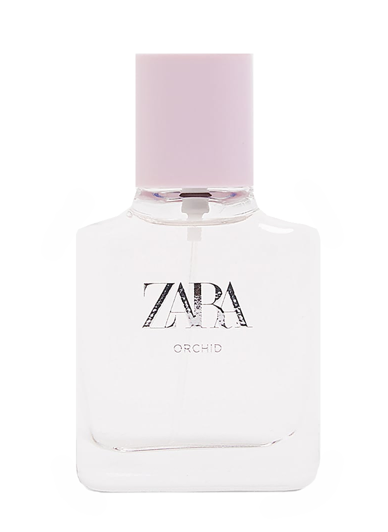 Orchid 2019 Zara perfume a fragrance for women 2019