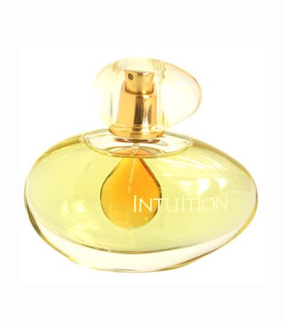 エスティーローダー INTUITION 100mL レディース 香水 Intuition Estée Lauder 香水- 一款2000年女用香水