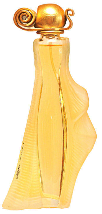 Organza Indécence Givenchy 香水- 一款1999年女用香水