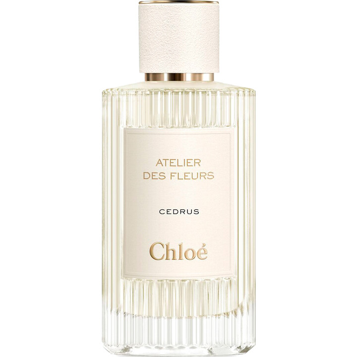 Chloé クロエ　アトリエデフルール　CEDRUS 50ml Chloé Atelier Des Fleurs Cedrus Eau De Parfum | Chloé US