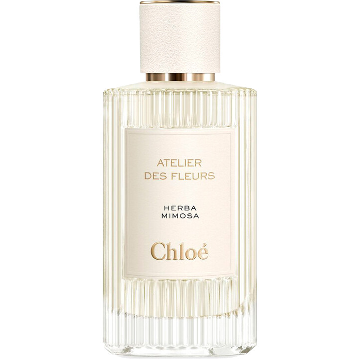 ⭐︎新品⭐︎ Chloé HERBA MIMOSA 50ml Chloé Atelier Des Fleurs Herba Mimosa Eau De Parfum | Chloé US