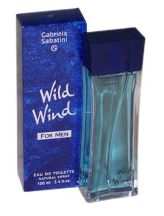 Wild Wind for Men Gabriela Sabatini cologne a fragrance for men 2000
