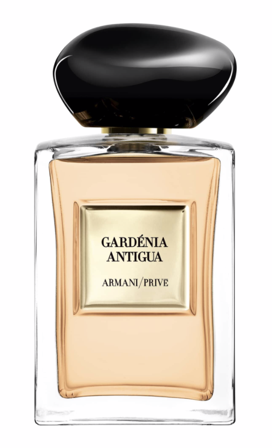 Gard�nia Antigua Giorgio Armani perfume - a fragrance for women and men 2020