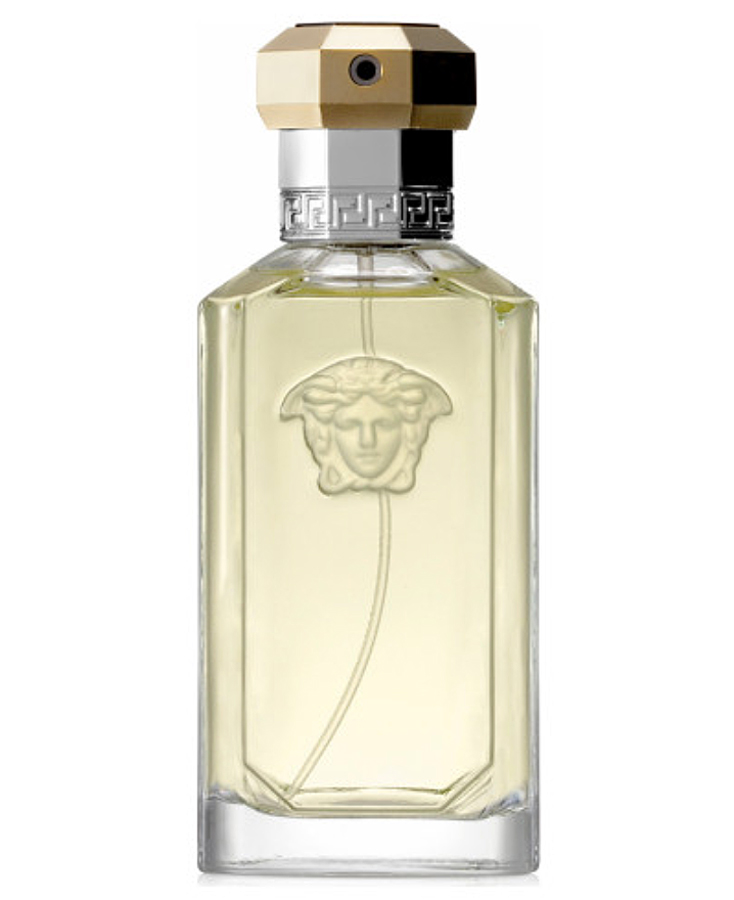 VERSACE THE DREAMER サスペンダー Amazon.com : Versace The Dreamer Eau De Toilette Spray for