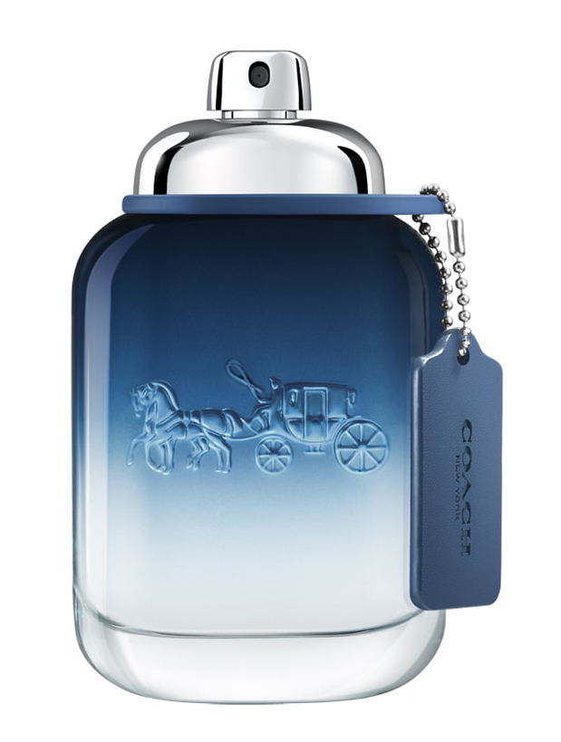 Coach Blue Coach cologne - a fragrance for men 2020