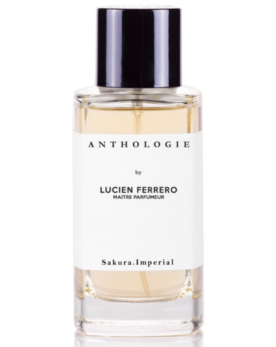 ANTHOLOGIE by LUCIEN FERRERO サクラアンペリアル 100pack_1600x.jpg?v=1698654310