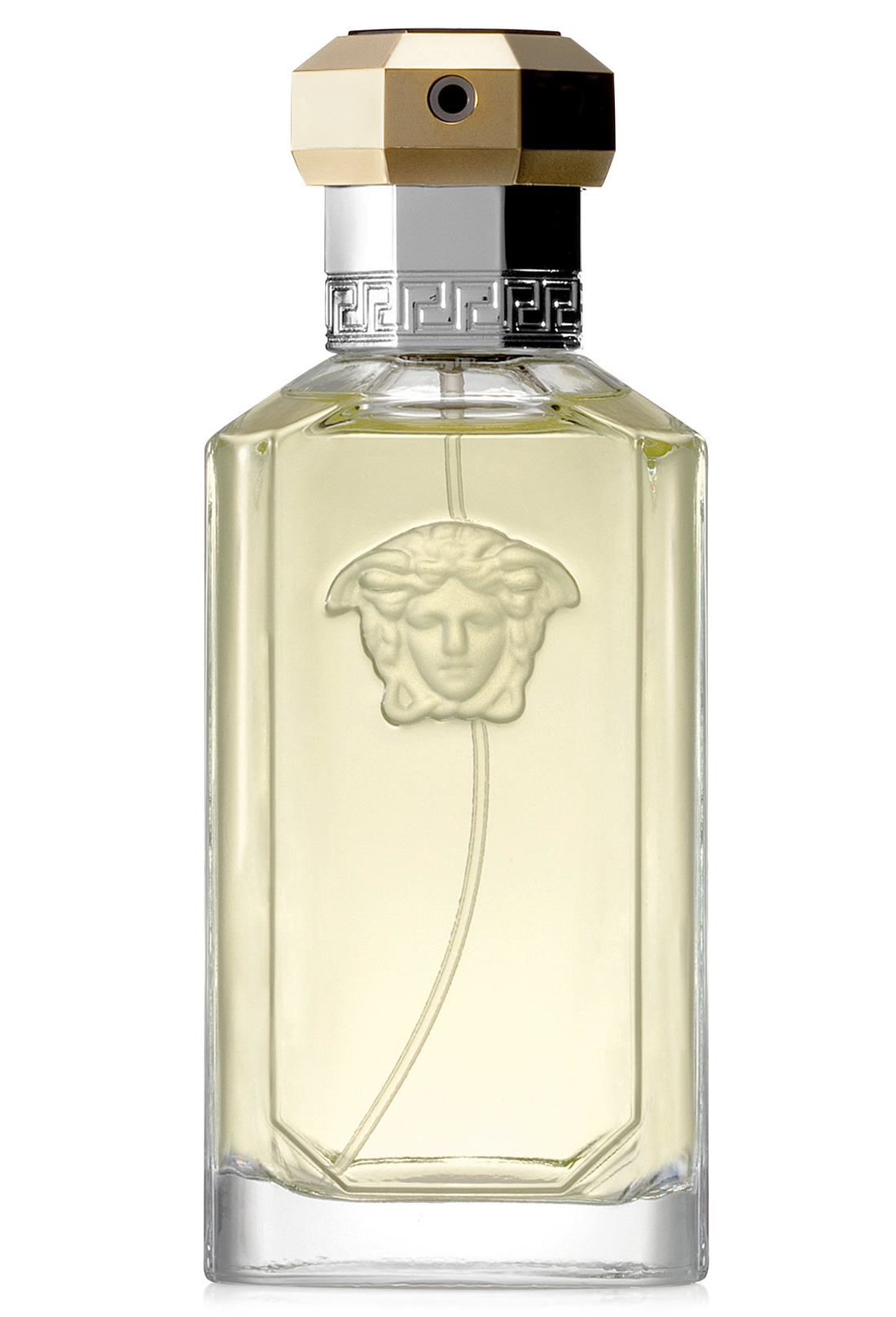 dreamer versace fragrantica