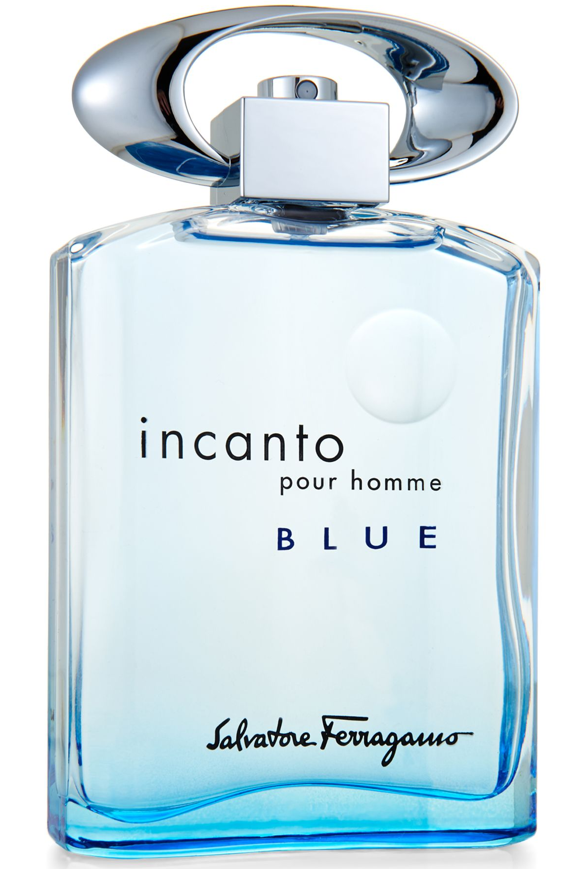 フェラガモ incanto pour homme BLUE 100ml 廃番 Incanto pour Homme Blue Salvatore Ferragamo cologne - a fragrance