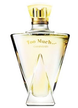Tooru　Guerlain 香水 Iris Torréfié Guerlain 香水- 一款2020年中性香水