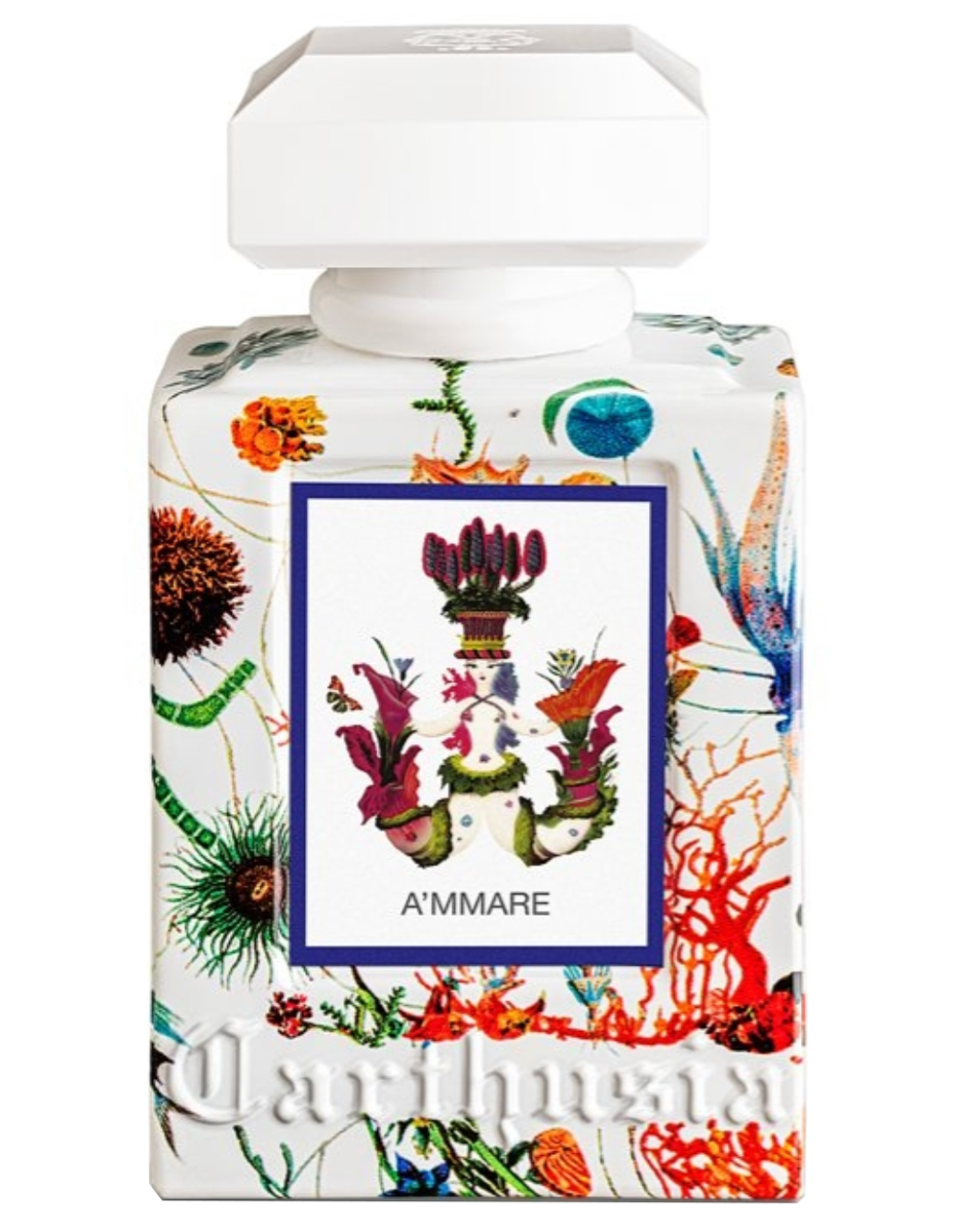 A'mmare Carthusia perfume - a fragrance for women and men 2021